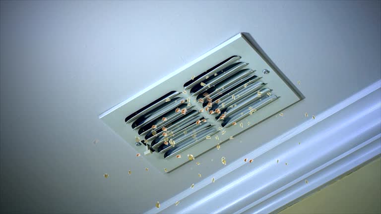 Best Affordable HVAC Duct Cleaning  in Chevy Chase Village, MD