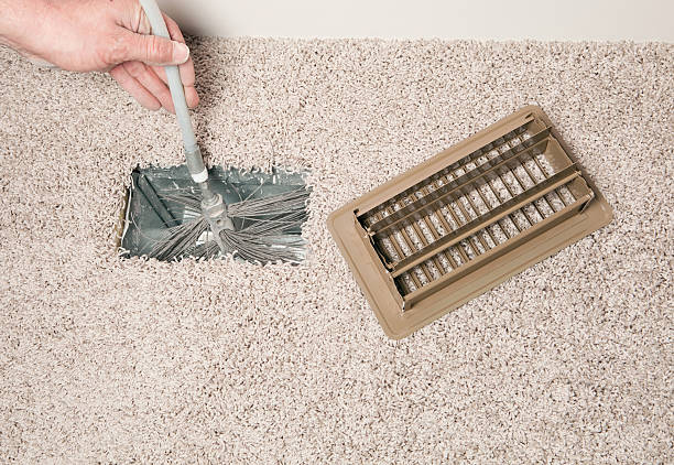 Best Air Duct Mold Removal  in Chevy Chase Village, MD